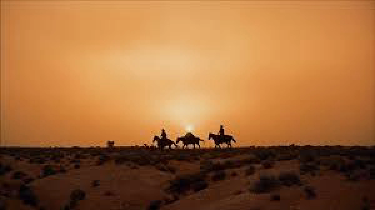 Cuộc Truy Lùng (The Searchers)